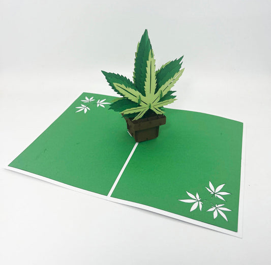 Intricate Greetings | Cannabis Leaf 3D Pop-Up Holiday Card