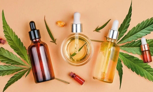 Affordable and High-Quality: Cannabis Products You’ll Love