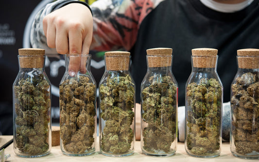 How to Buy High-Quality Cannabis Online: A Shopper's Guide by Olympus Cannabis
