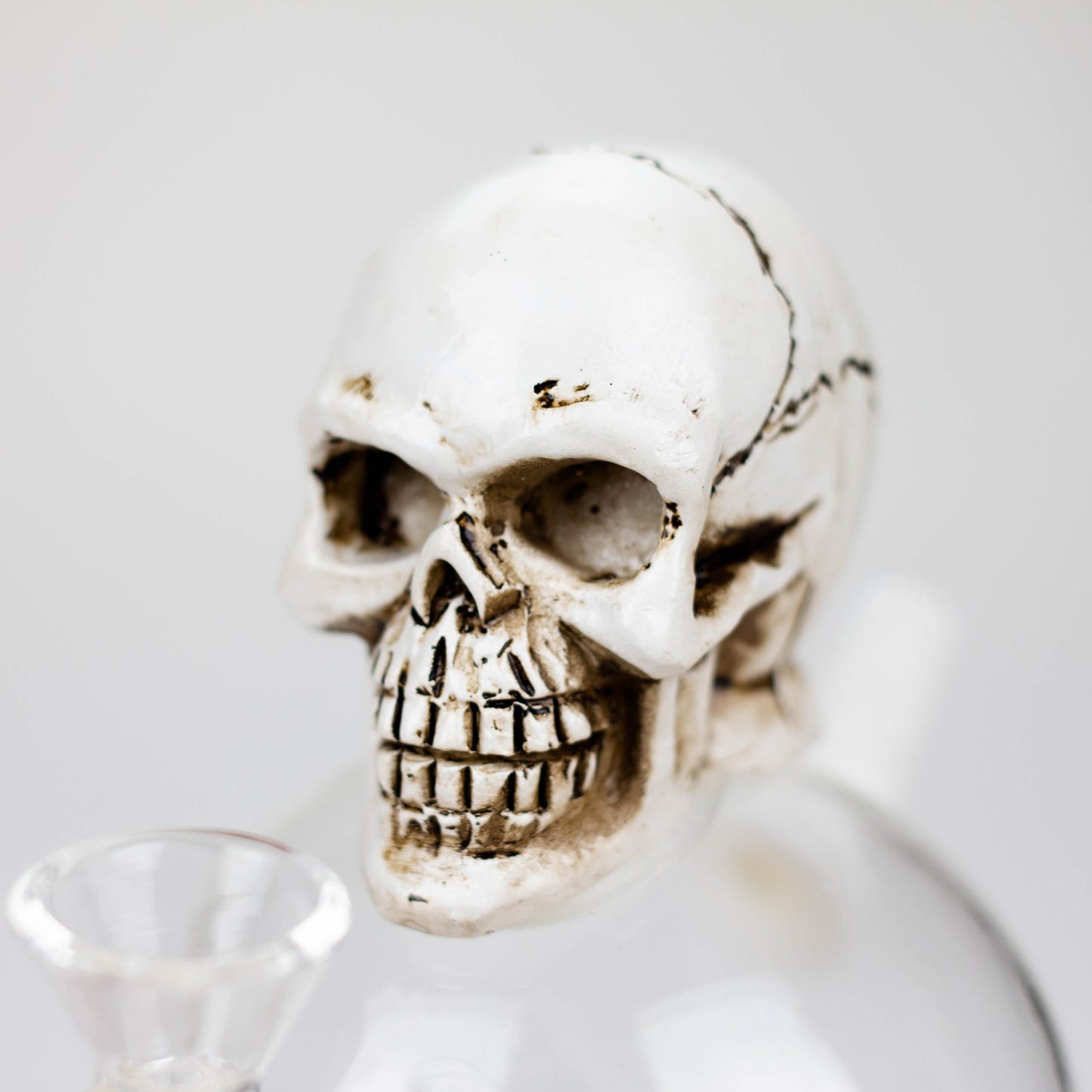 7.5" Resin Skull Ball Water pipe