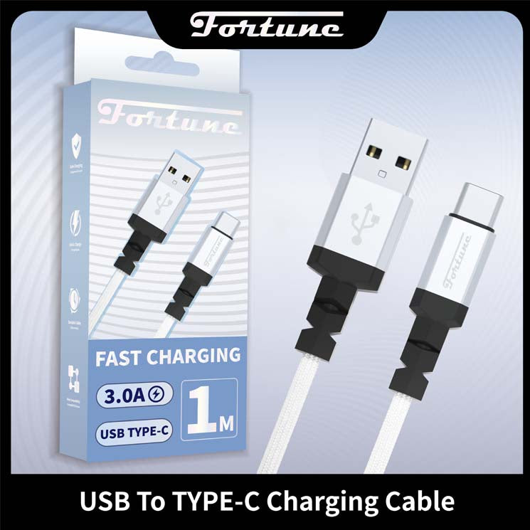 Fortune USB-Type C Cable