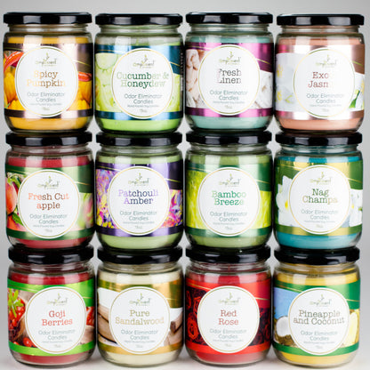 Ampliscent | Candles Odor Eliminator – 13oz