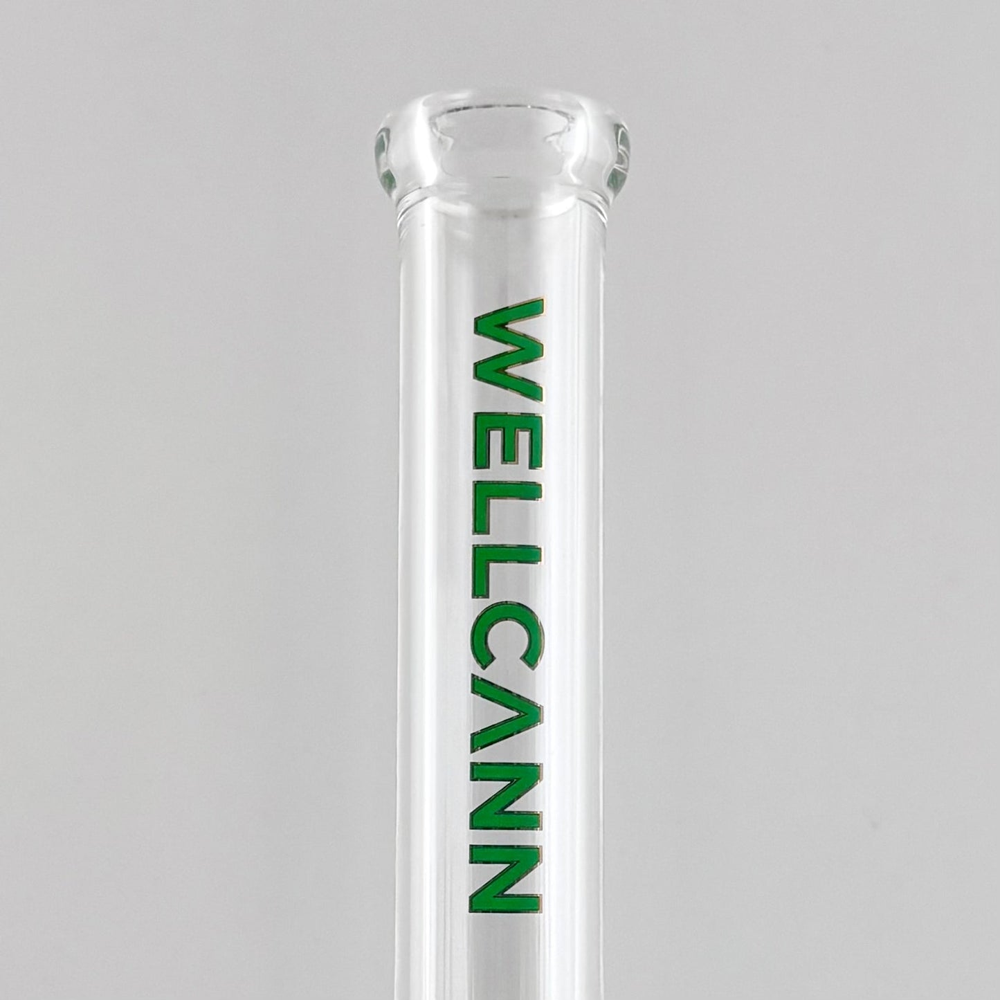 Wellcann | 10" 5mm Beaker Accent Glass Bong