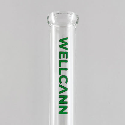 Wellcann | 10" 5mm Beaker Accent Glass Bong