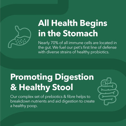 PetPal | Probiotic 4 Billion Soft Chew Treats for Dogs