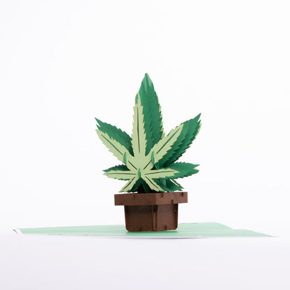 Intricate Greetings | Cannabis Leaf 3D pop-up Cards-Birthday